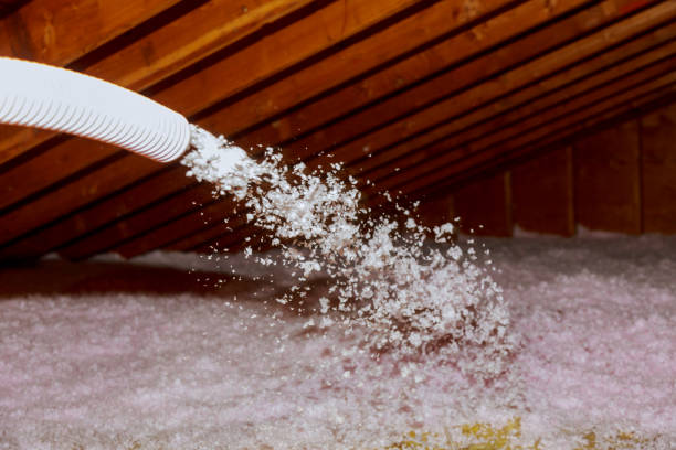 Best Spray Foam Insulation in Le Center, MN